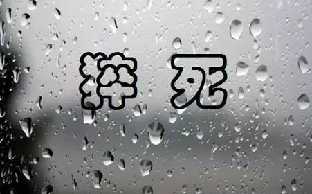 1578878717928295.png 1578878717928295.png